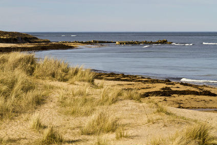 Beautiful Aberdeenshire beach